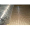 Stainless Steel Welded Wire Mesh of 304 or 316